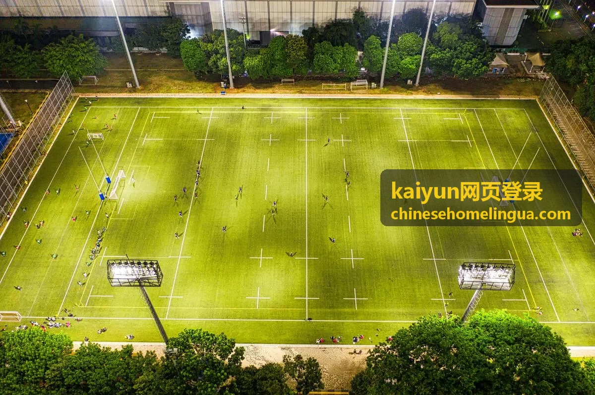 kaiyun网页登录 验证码接收排查示意